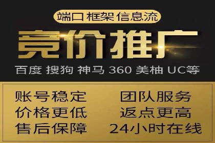 SEM推广策略：成功案例解析